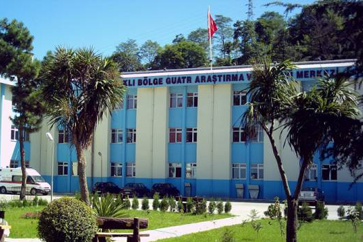 Rize Fındıklı Bölge Guatr Araştırma ve Tedavi Merkezi