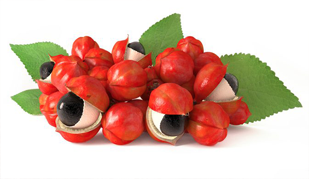 feed3dc57c179e4e70780515b9a8968e-1.png